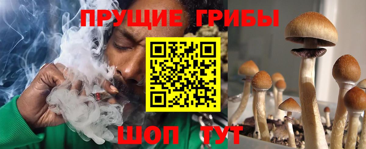 Галлюциногенные грибы мухоморы Изобильный
